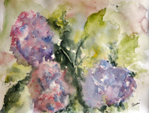 hydrangeas watercolor painted by Sami