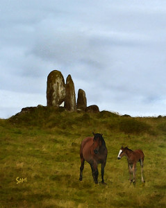 Horses in Ireland